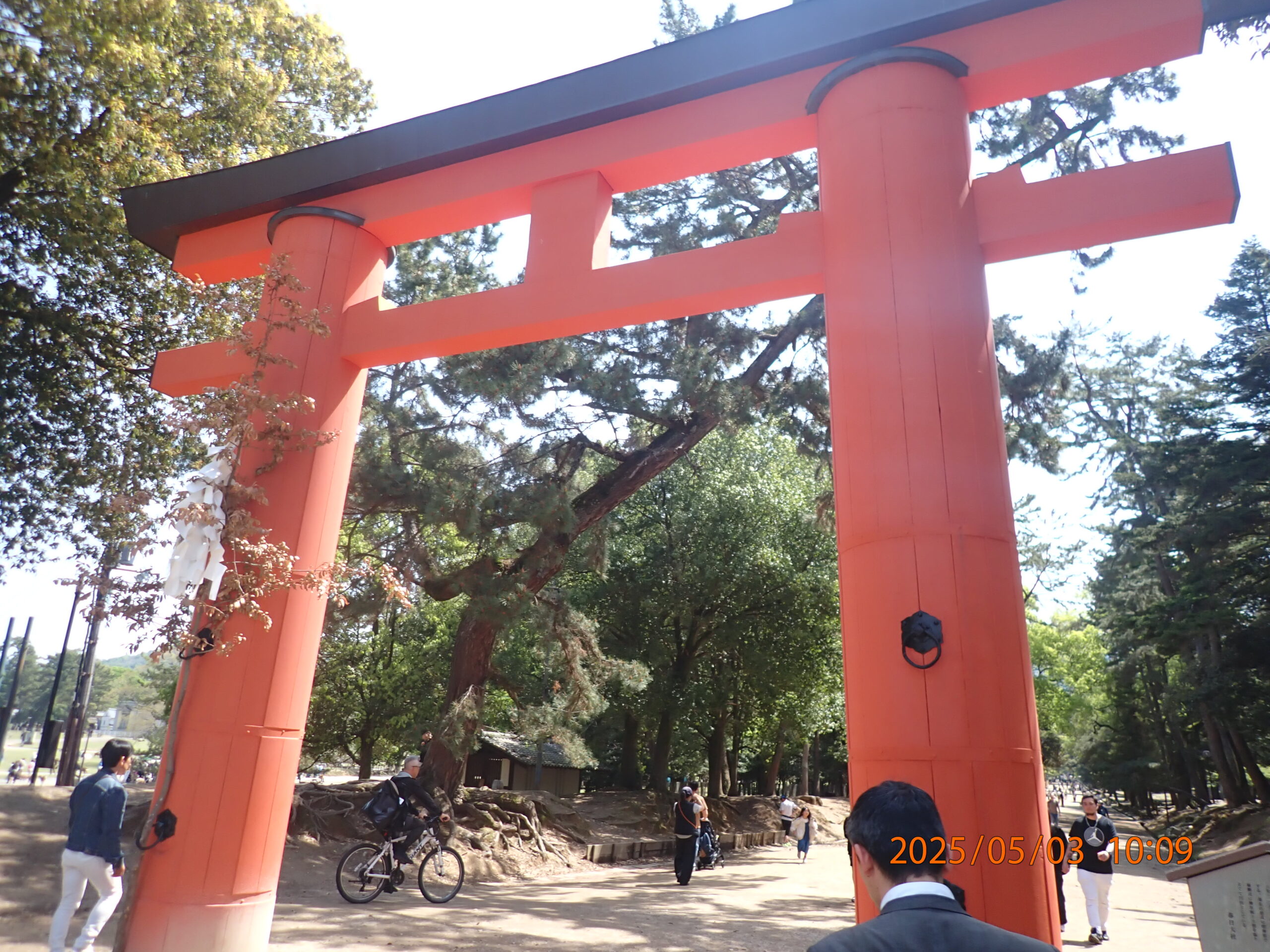 2025年GW　奈良旅行のおみくじ