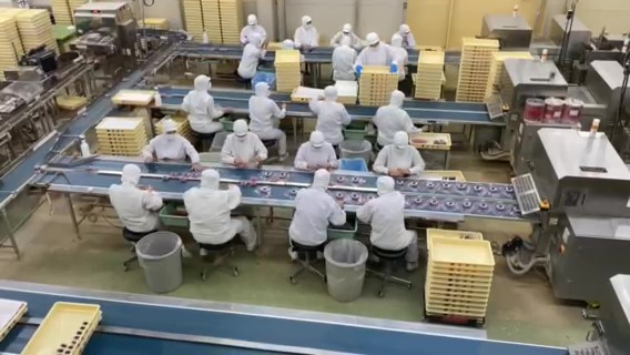 桔梗信玄餅工場テーマパーク