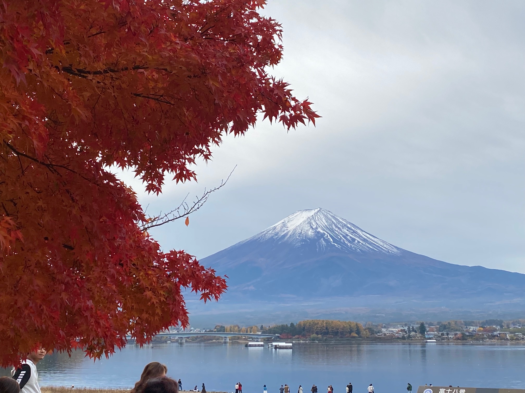 富士河口湖紅葉まつり